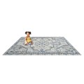 Canyon Tapestry